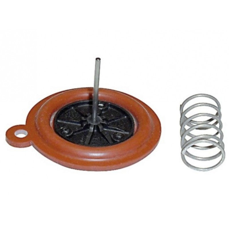 Membrana Calentador VAILLANT 115300