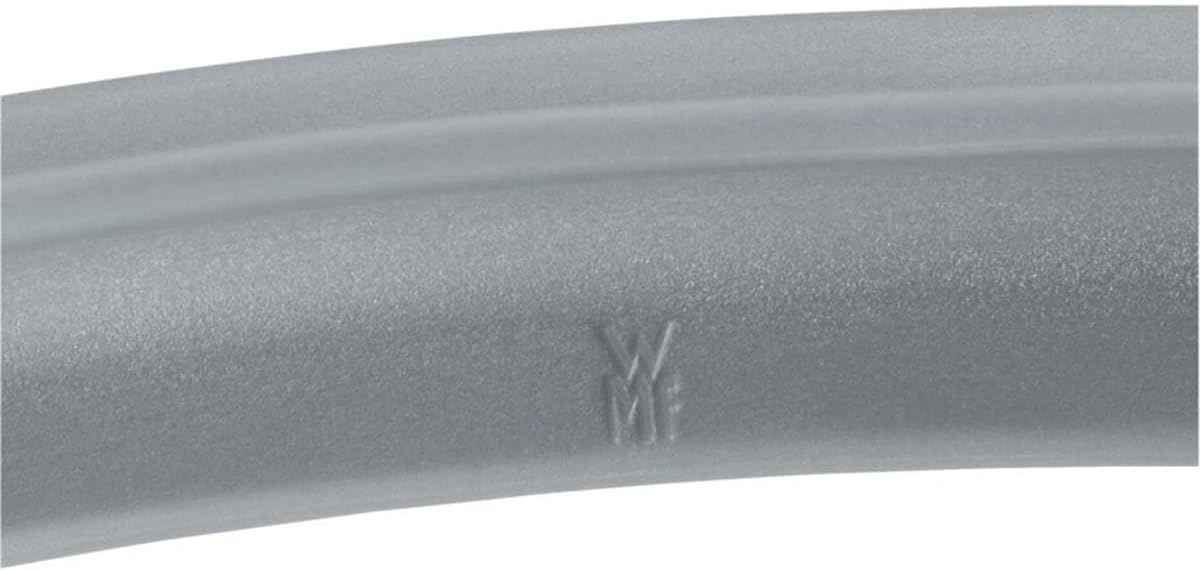 Goma Olla ORIGINAL WMF Perfect Silicona 22 cmm 60.6856.9990
