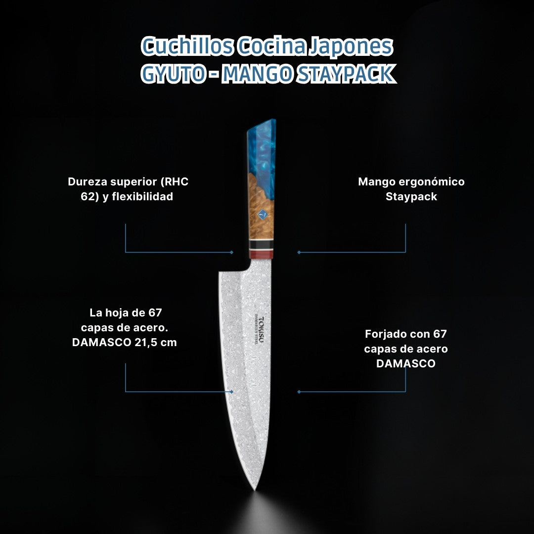 Cuchillo Cocina Profesional  TOKYSU - Cuchillos Cocina Japones GYUTO de Acero DAMASCO 67 capas  21,5