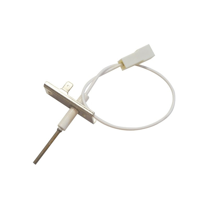 Electrodo caldera BIASI RILEV M160 BI1313104