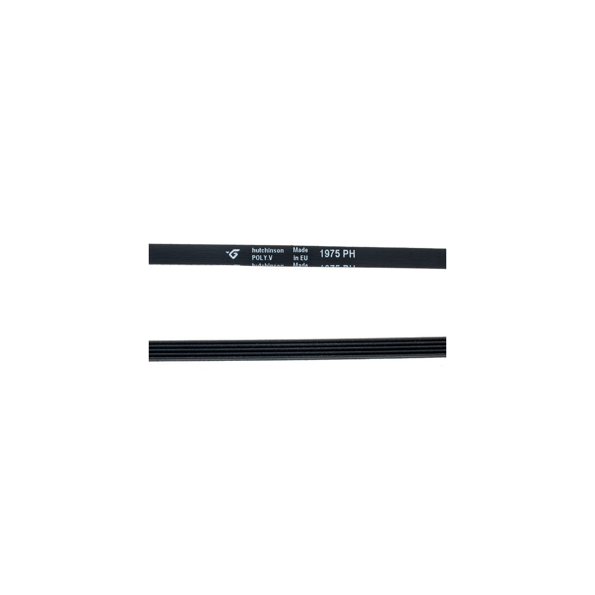 Correa ranurada | compatible con STANDARD | Calidad OEM | Codigo fabricante | Tipo H-5 1975