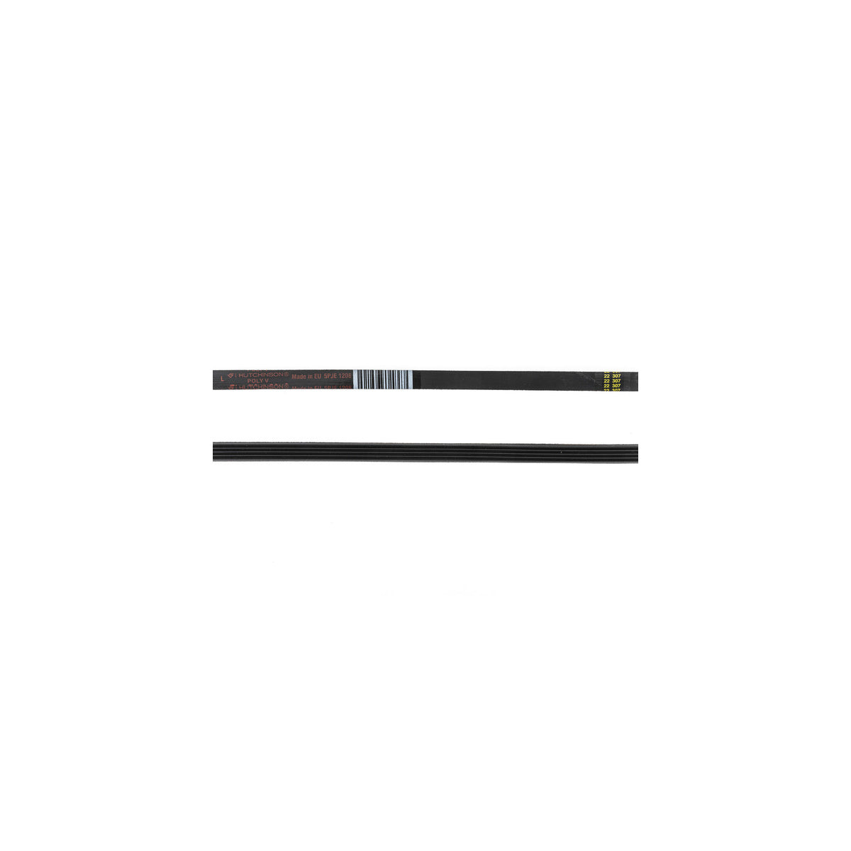 Correa lavadora | compatible con INDESIT | Calidad Original | Codigo fabricante C00141664 | Para modelos IWE6125EU IWD6105EU IWC6143EU W