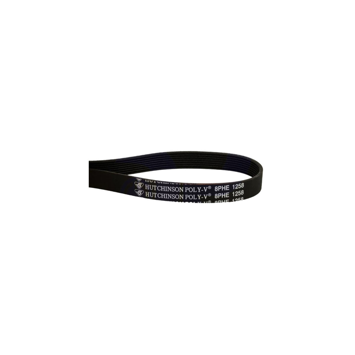 Correa ranurada lavadora | compatible con EAS ELECTRIC | Calidad Original | Codigo fabricante 12638100000245 | Para modelos EMW580E2