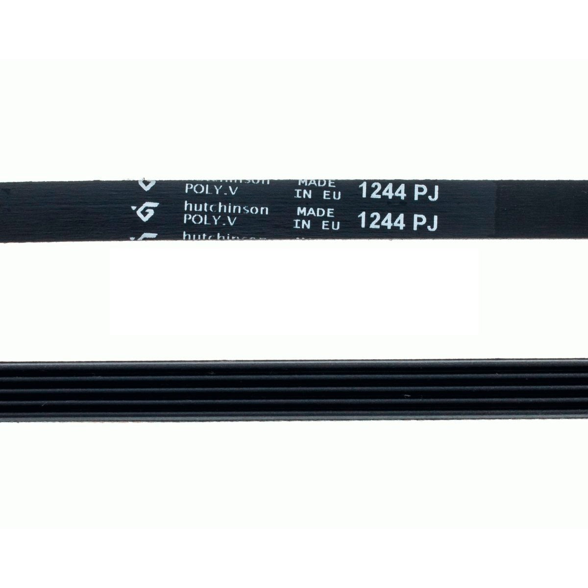 Correa Lavadora 1244 PJ