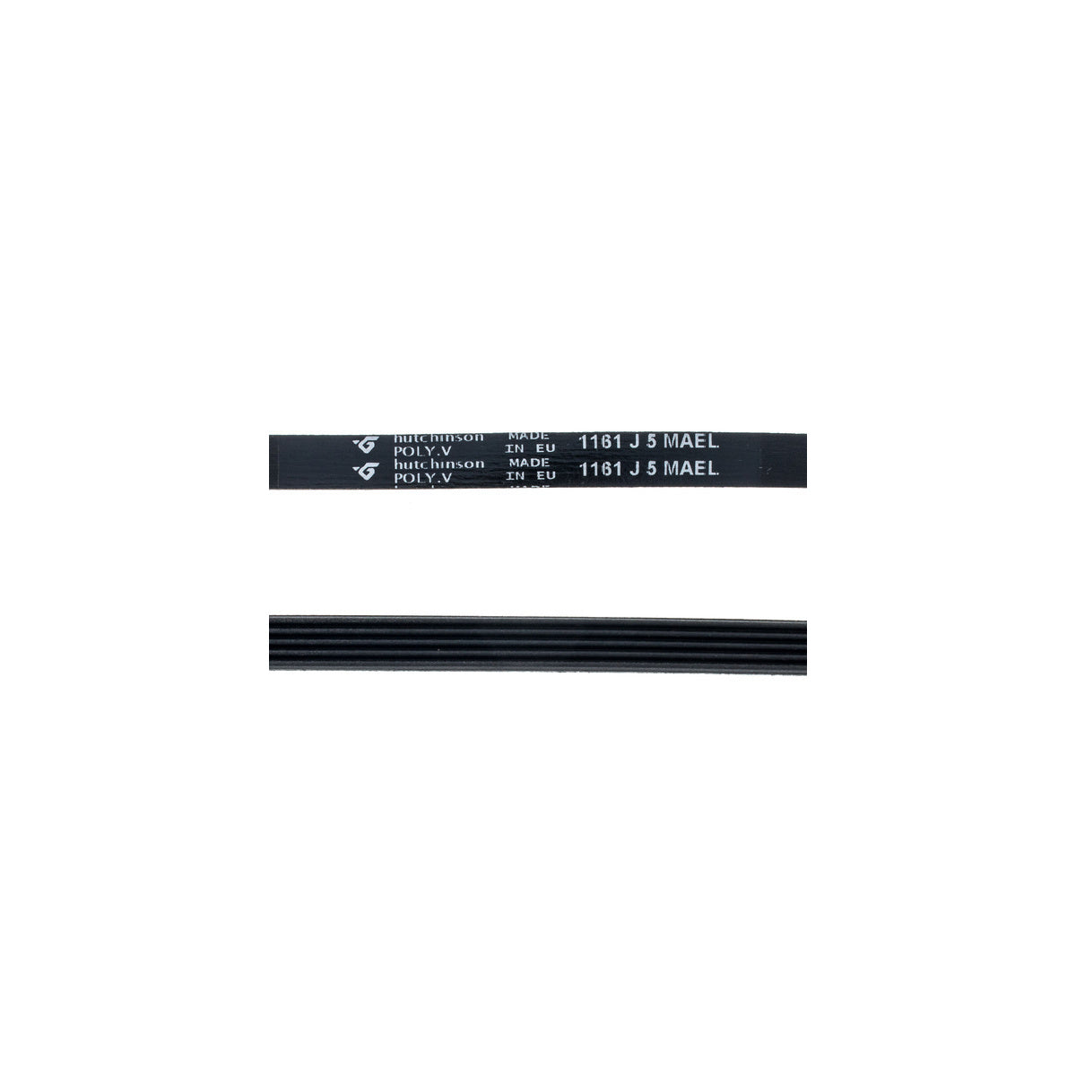 Correa Lavadora 1161 J5 MAEL